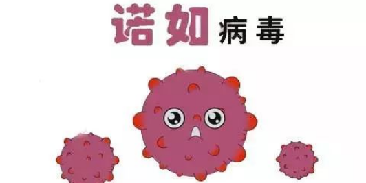 诺如病毒是什么?诺如病毒怎么预防_360新知