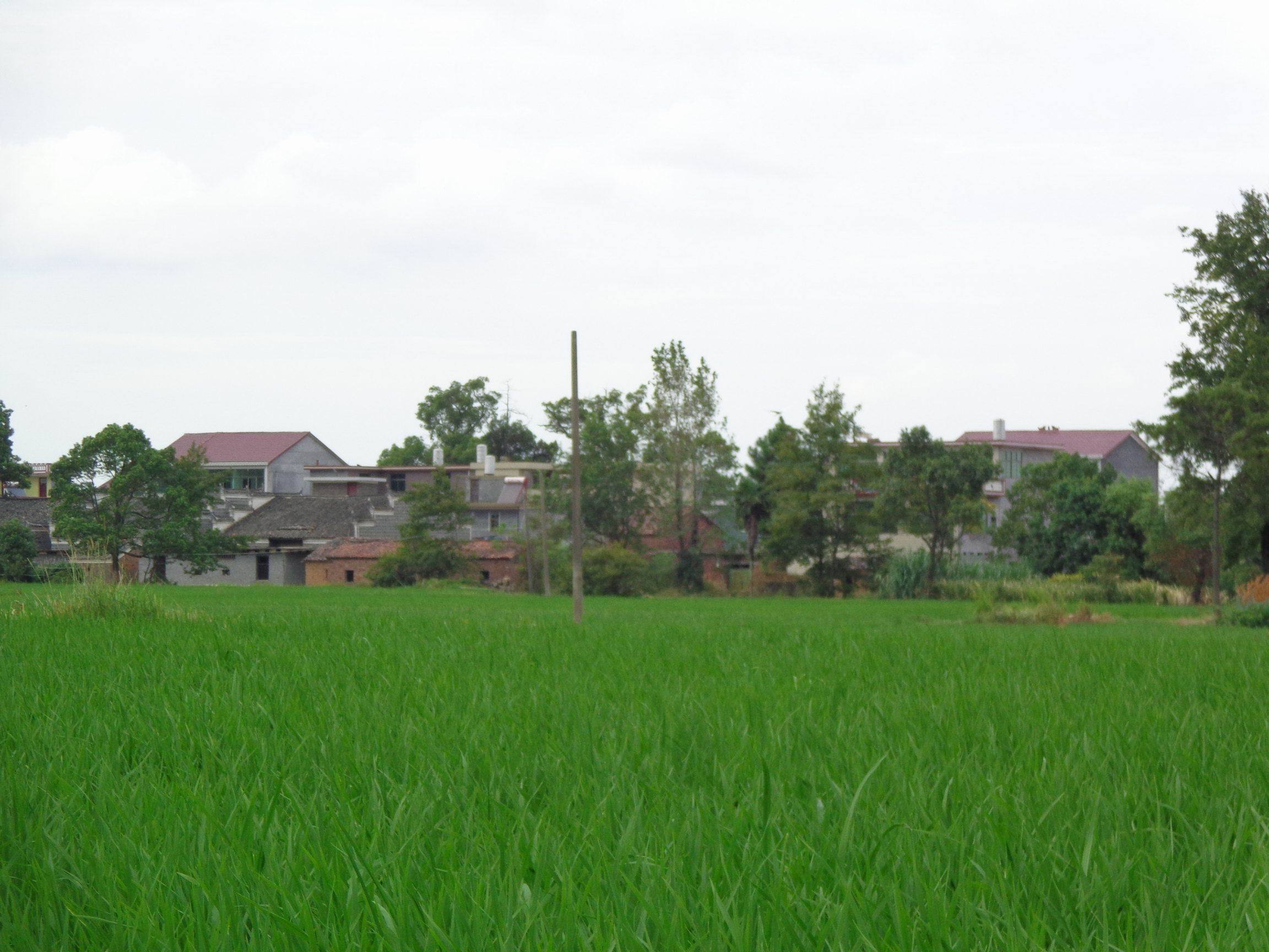 甘竹村图册_360百科