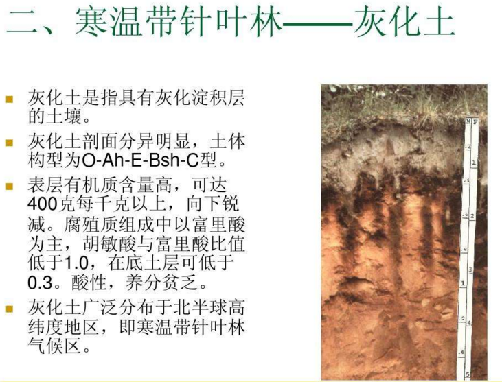 灰化淀积层图册_360百科