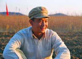 杨冬图册_360百科