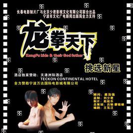 龙拳天下