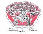 关元俞穴图册_360百科
