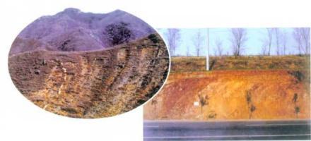 新太古代图册_360百科