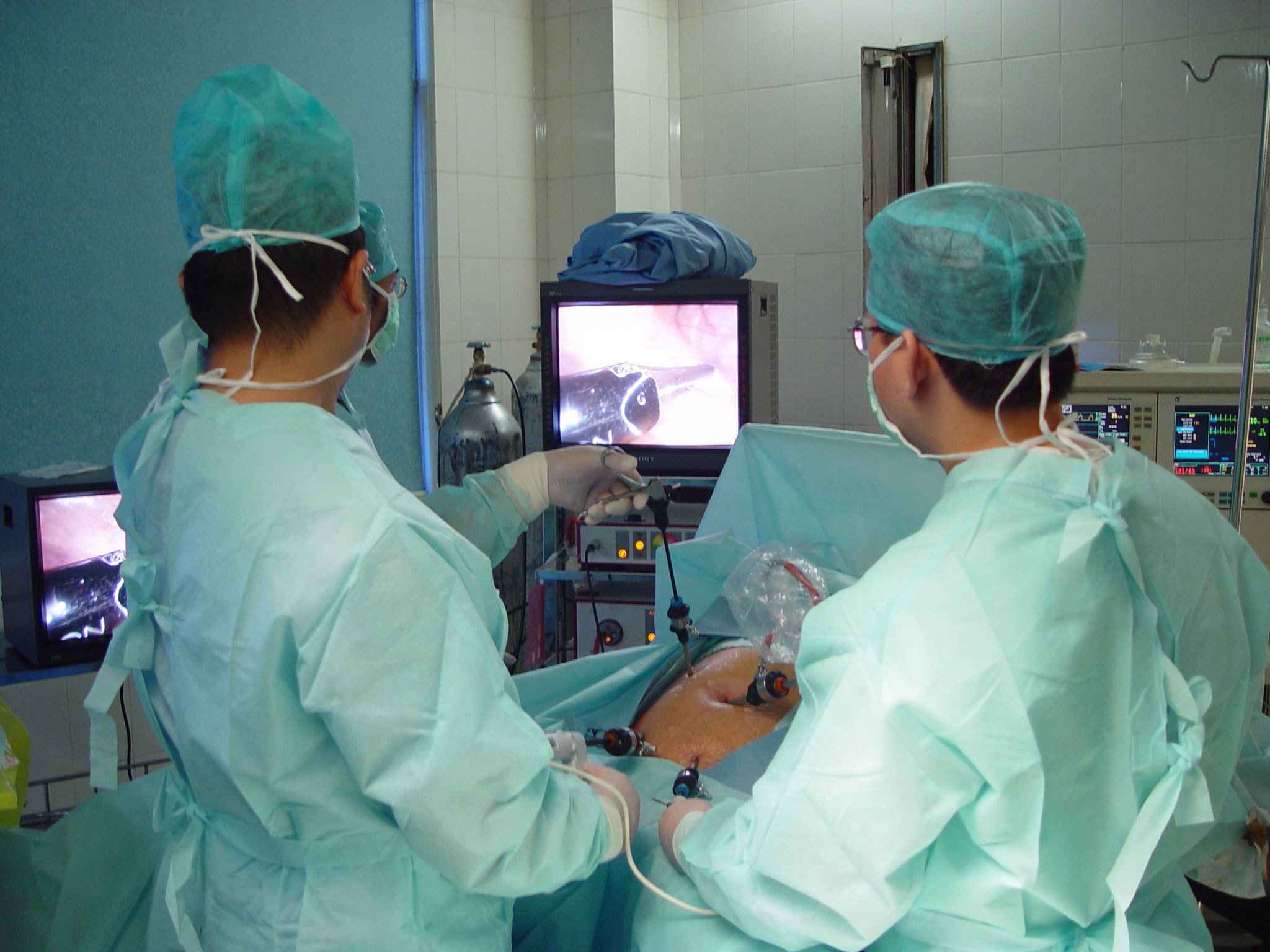 第三节 左半肝切除术-肿瘤外科手术-医学