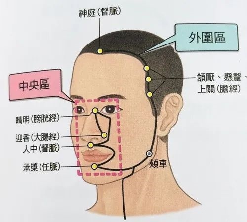 胃经(十二正经之一)_360百科