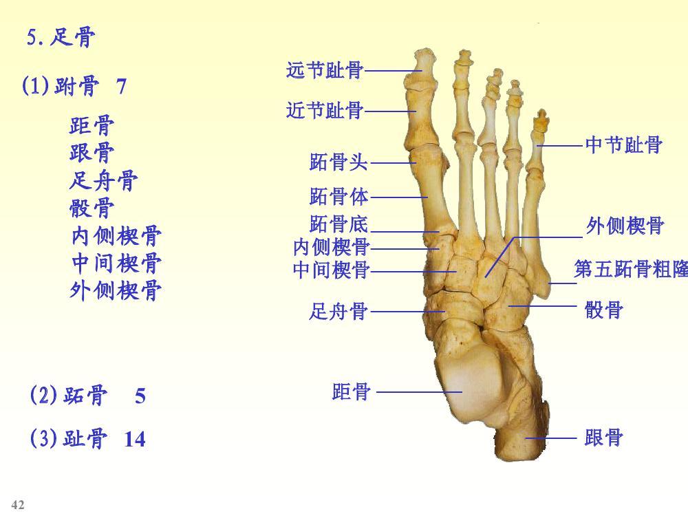 足篮燃情今日赛事直播全天候放送关键战役一触即发观赛体验拉满