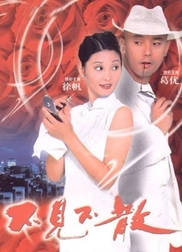 不见不散