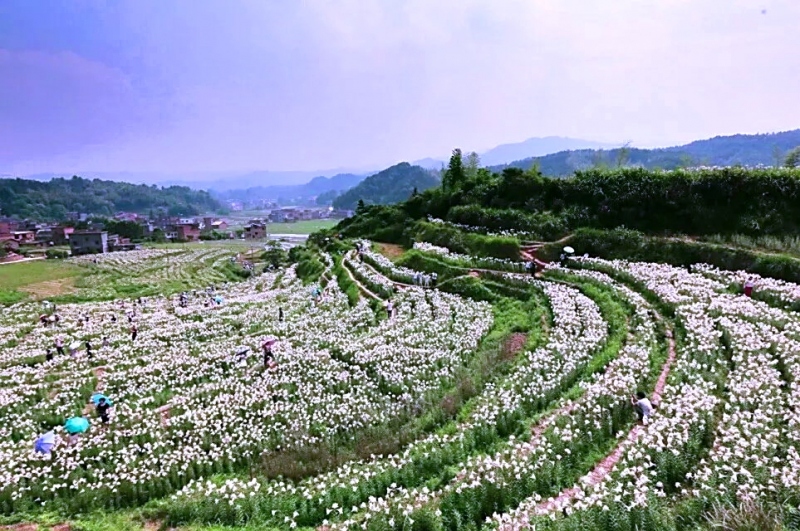 万载广播电视台综合广播