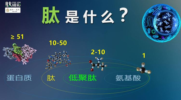 春朗读