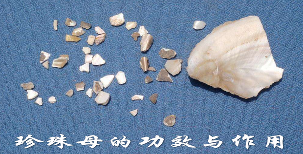 珍珠母的功效与作用_360新知