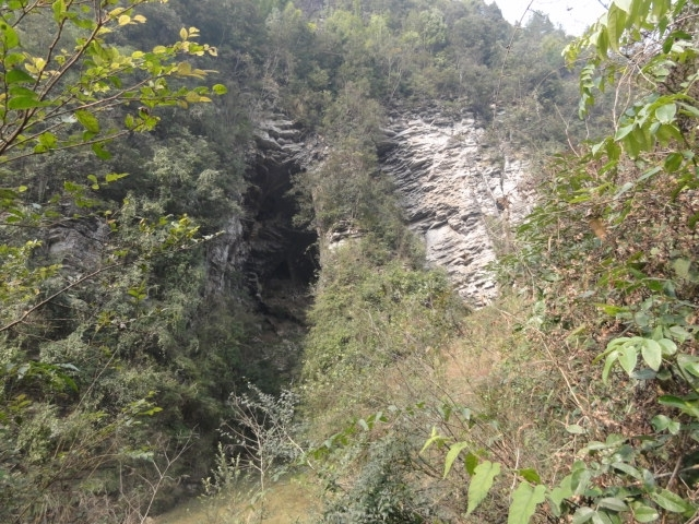 向家村图册_360百科