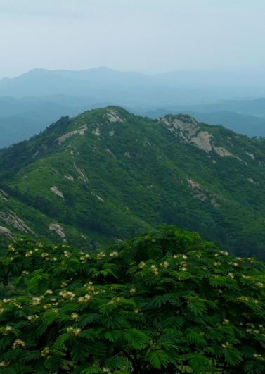 高村镇图册_360百科