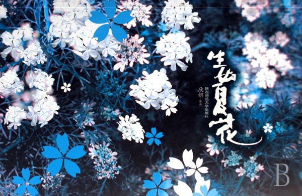 一段校园爱情与成长的动人故事