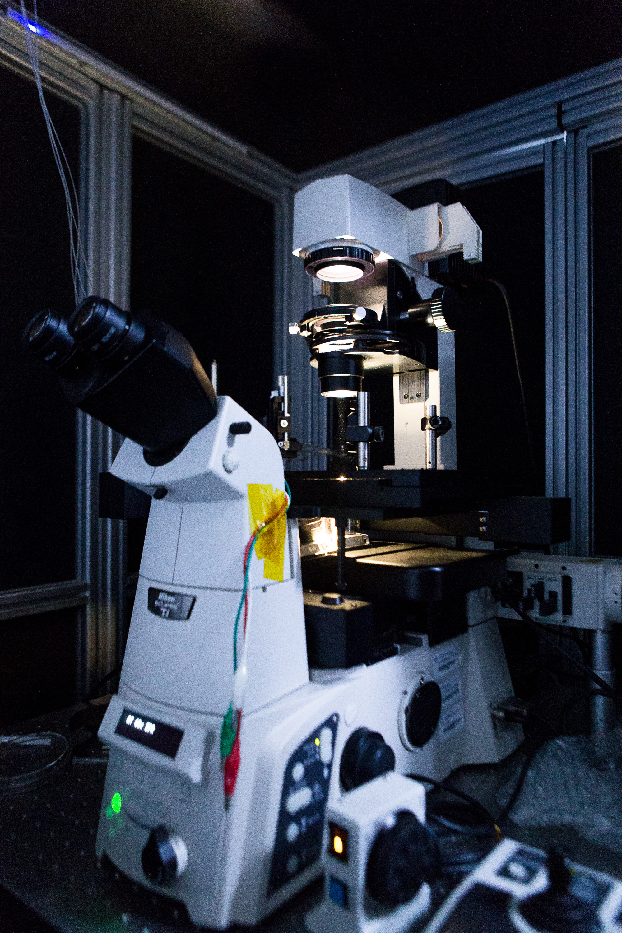 荧光显微镜图册