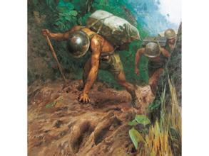 白仁海图册_360百科