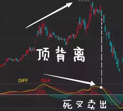 顶背离图册_360百科