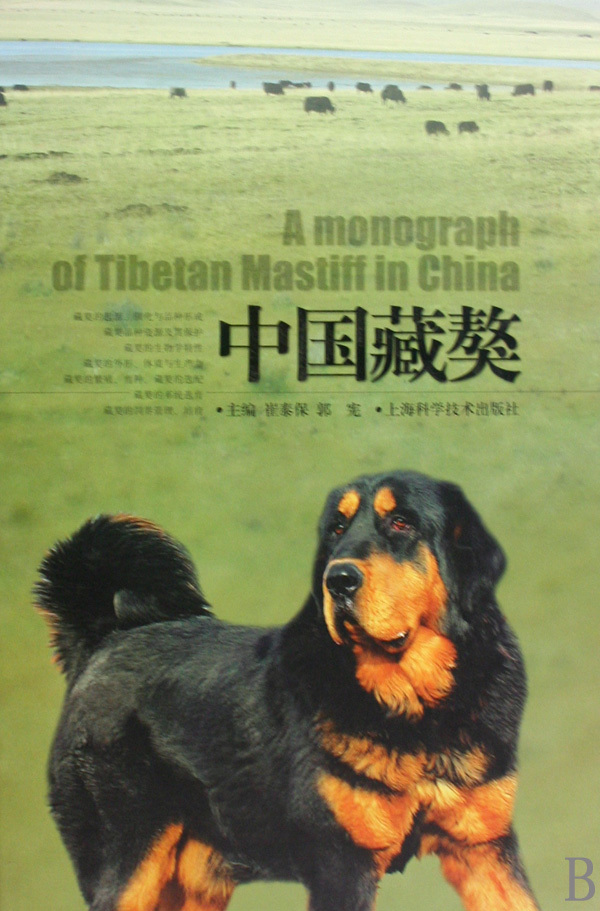 中国藏獒图册_360百科