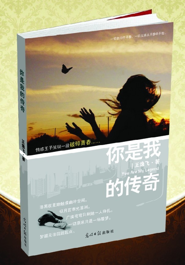 创造你的传奇：在奇迹私服中谱写你的游戏故事