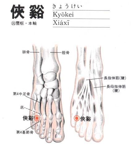 侠溪穴图册_360百科