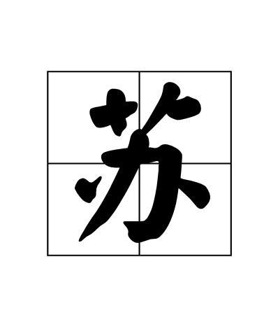 称未来将投身田径青训事业