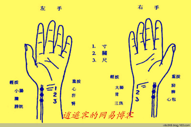 脉弦图册_360百科
