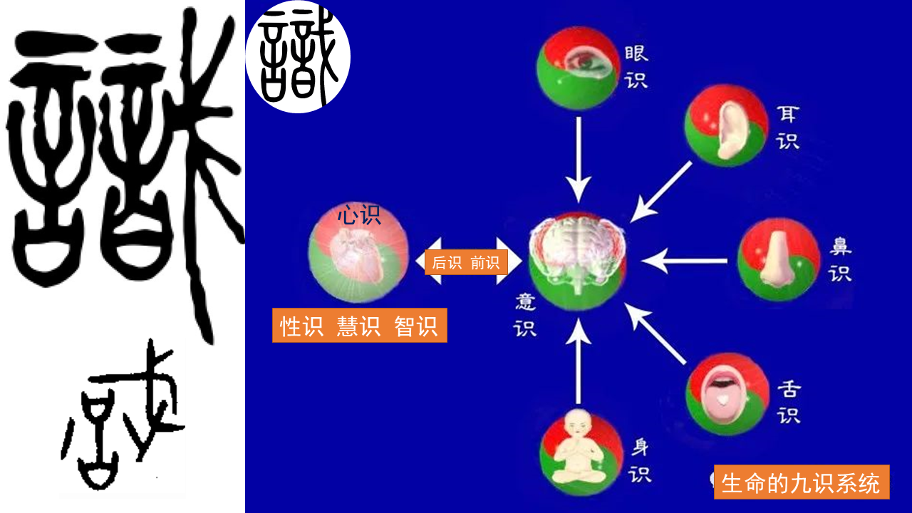 修心图册_360百科