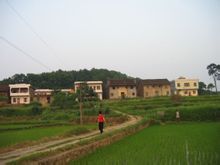 马田镇图册_360百科