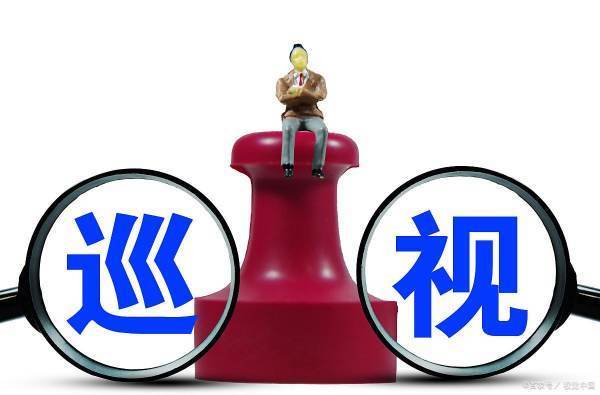 级巡视员是什么级别干部