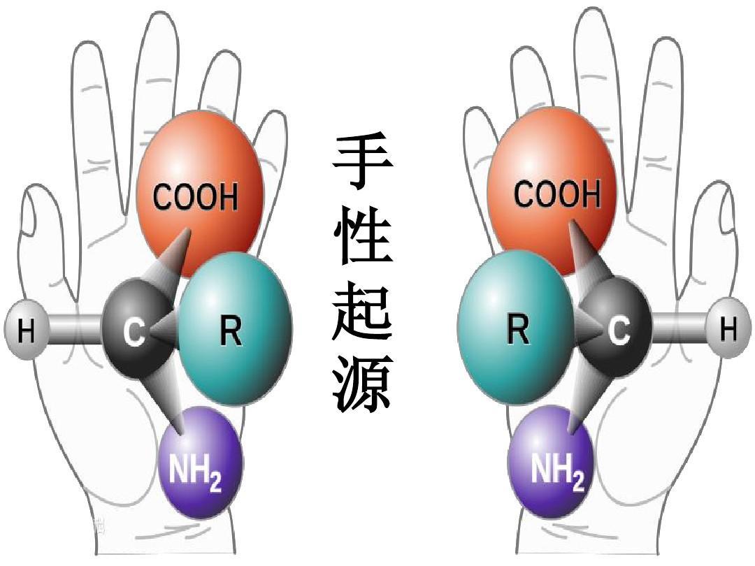 手性图册_360百科