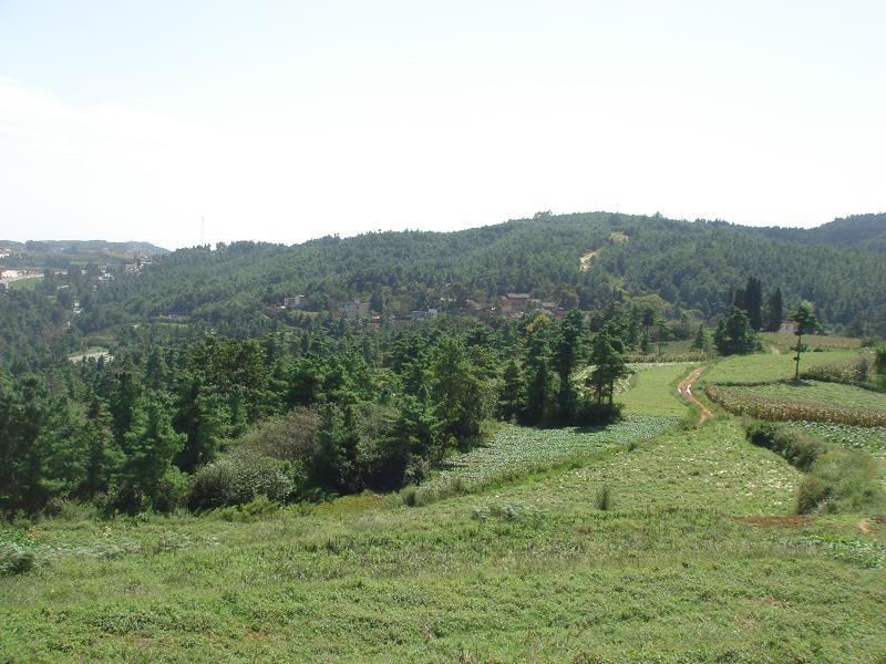 青竹村图册_360百科