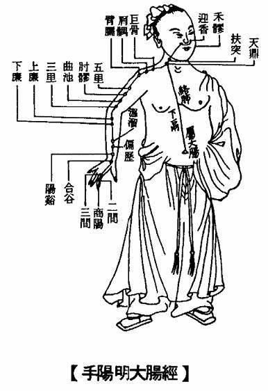 手三里穴图册_360百科