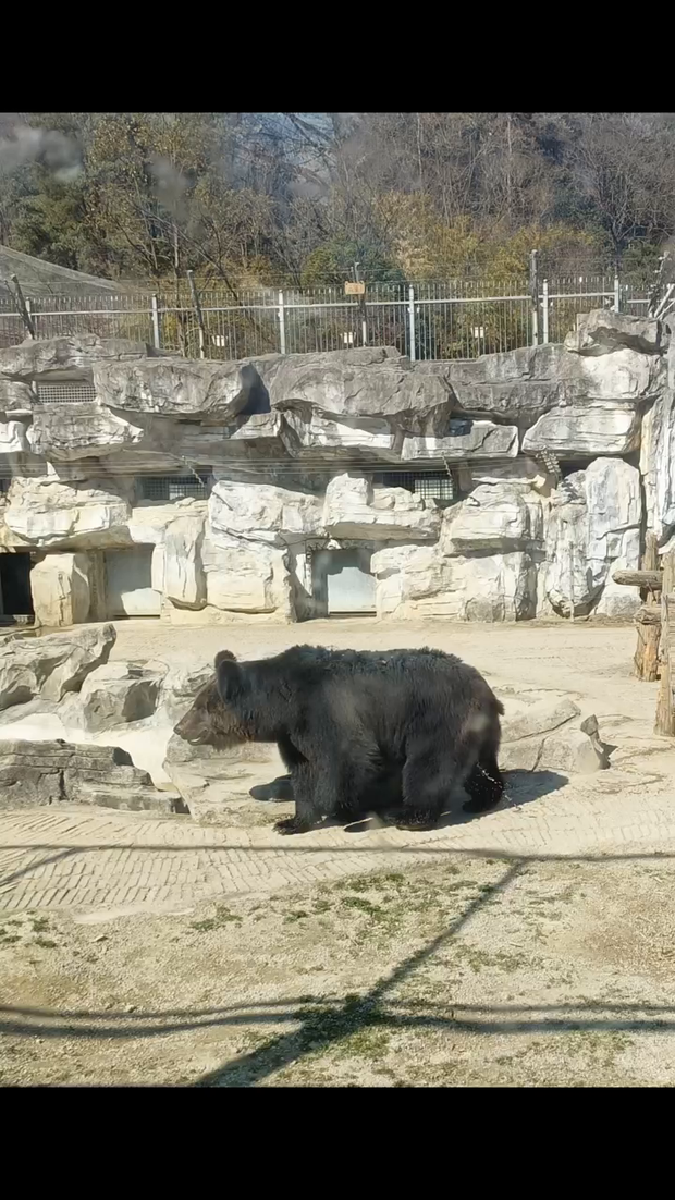 图片[5]-2023年2月26日记录生活-大白创意网络