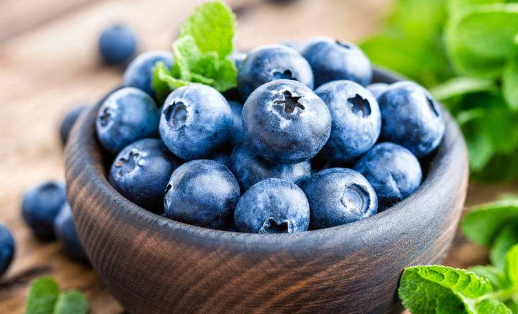盆栽蓝莓的种植和养护方法_360新知
