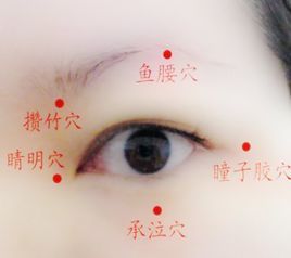 鱼腰穴图册_360百科