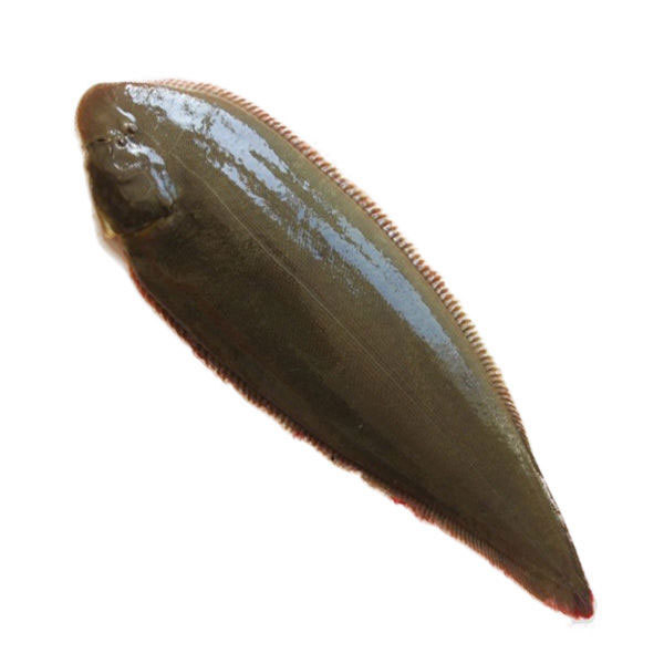 目鱼科技 广东阿妈不外传的墨鱼藕香方,打工人养生黑科技汤