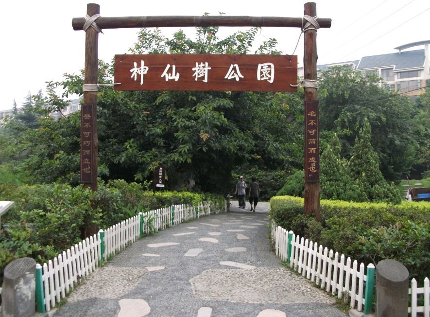 神仙树公园图册_360百科