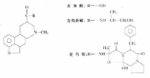 麦角类生物碱图册_360百科
