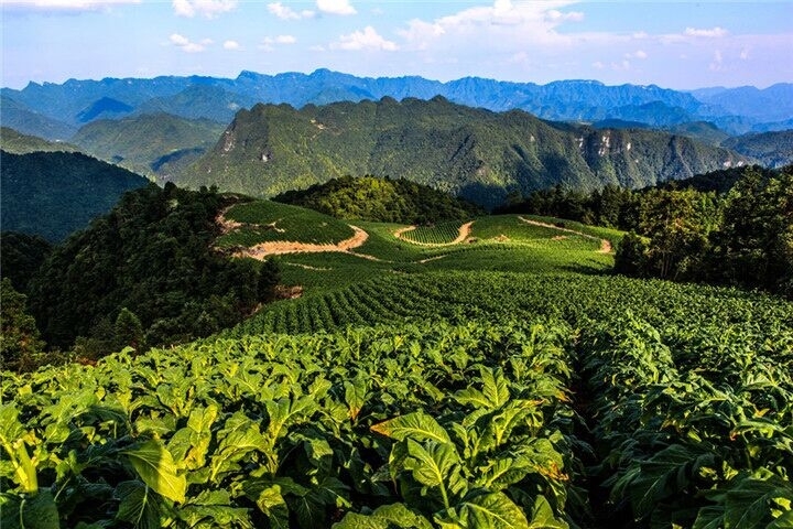 桑植县图册_360百科