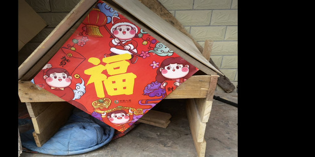 简易木狗窝的制作方法_360新知