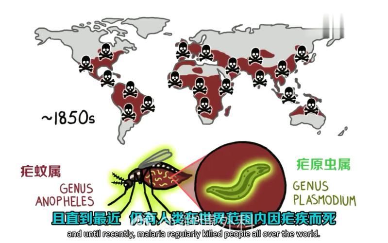 疟疾图册_360百科