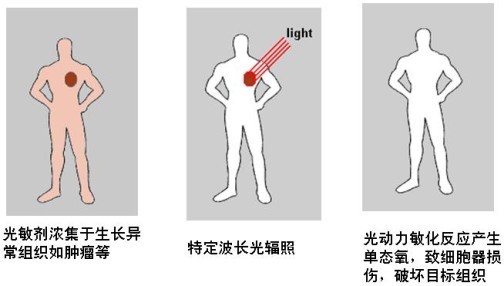 光动力学图册_360百科