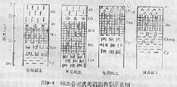 碱土图册_360百科