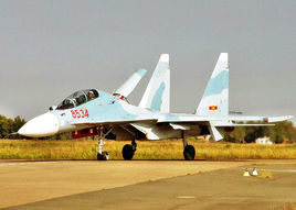 苏-30MK型战斗机图册_360百科