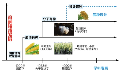 分子育种图册_360百科