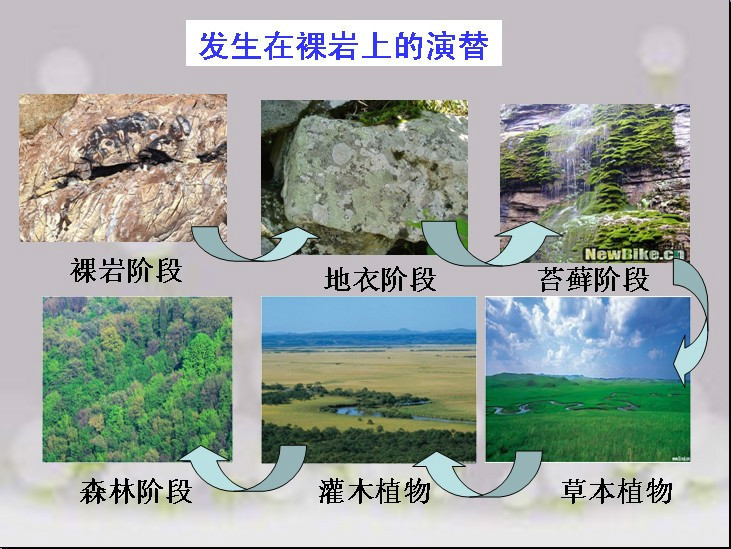 如何通过原生模拟增加抖音直播间在线人数 (原生jsajax)-初仟社区