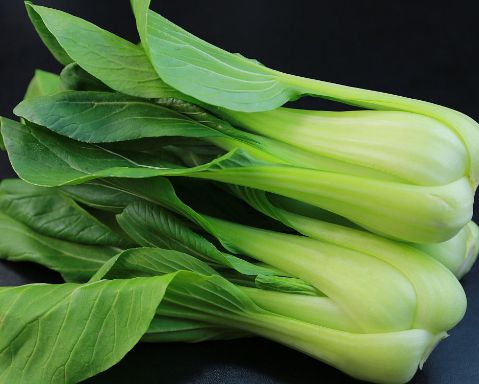 青梗菜图册_360百科