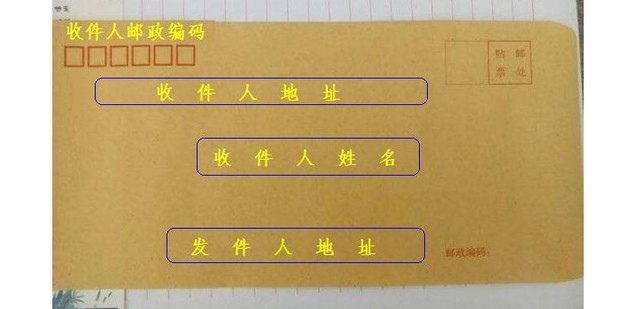 如何撰写一封得体的WhatsApp解封请求邮件
