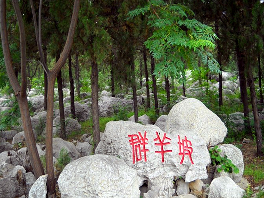 2020泉山森林公园-旅游攻略-门票-地址-问答-游记点评，徐州旅游旅游景点推荐-去哪儿攻略