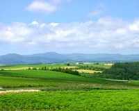 索伦镇图册_360百科