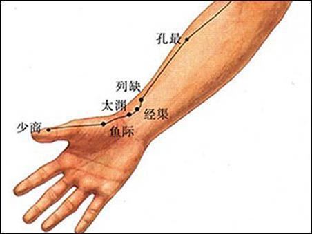 经渠图册_360百科